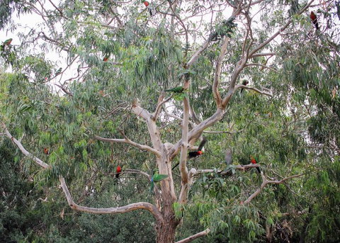 Full-Day Great Ocean Road And 12 Apostles Sunset Tour From Melbourne - Accommodation Brisbane 19