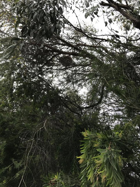 Full-Day Great Ocean Road And 12 Apostles Sunset Tour From Melbourne - Accommodation Brisbane 10