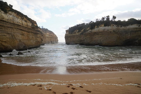 Full-Day Great Ocean Road And 12 Apostles Sunset Tour From Melbourne - Accommodation Brisbane 5
