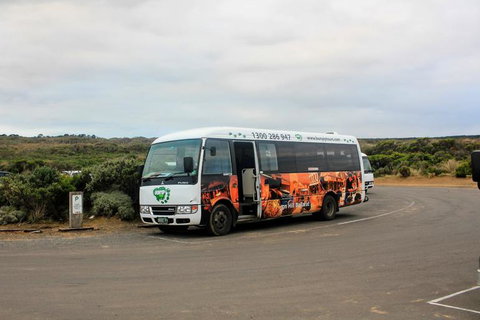 Full-Day Great Ocean Road And 12 Apostles Sunset Tour From Melbourne - Accommodation Brisbane 18