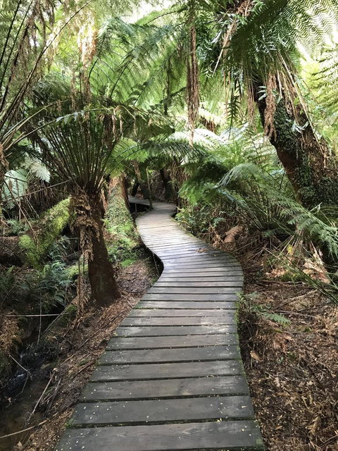 Full-Day Great Ocean Road And 12 Apostles Sunset Tour From Melbourne - Accommodation Brisbane 8