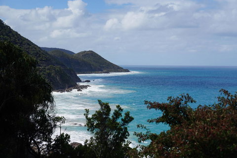 Full-Day Great Ocean Road And 12 Apostles Sunset Tour From Melbourne - Accommodation Brisbane 4