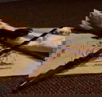 Alchemy I - The Final Run - Accommodation Brisbane