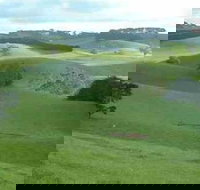 Day Tour of Phillip Island  Surrounding Region - Accommodation Brisbane