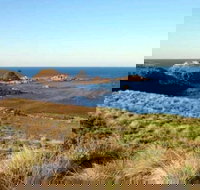 Phillip Island Walking  Bird Watching Tour - Accommodation Brisbane