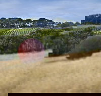 Estate to Plate Montalto Vineyard Gourmet Lunch and Wine-Tasting Tour - Accommodation Brisbane