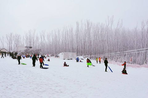 Private Mount Buller Snow And Ski Tour From Melbourne - Accommodation Brisbane 2