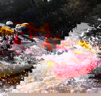 Whitewater Sports rafting on the Yarra river - Accommodation Brisbane