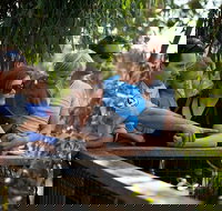 Phillip Island 3 Park Pass Penguin Parade Koala Conservation Centre and Penguin Parade Koala ConservationHeritage Farm - Accommodation Brisbane