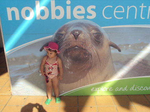 Phillip Island 3 Park Pass: Penguin Parade, Koala Conservation Centre And Penguin Parade, Koala ConservationHeritage Farm - Accommodation Brisbane 3