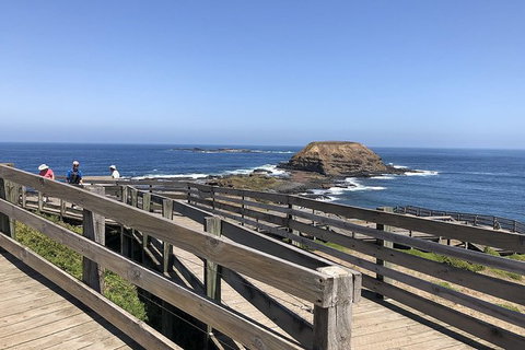 Day Tour Of Phillip Island, The Surrounding Region And Wine Tasting - Accommodation Brisbane 14