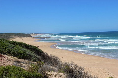 Day Tour Of Phillip Island, The Surrounding Region And Wine Tasting - Accommodation Brisbane 5