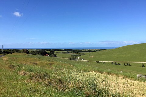 Day Tour Of Phillip Island, The Surrounding Region And Wine Tasting - Accommodation Brisbane 6