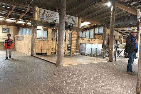 Day Tour Of Phillip Island, The Surrounding Region And Wine Tasting - Accommodation Brisbane 8