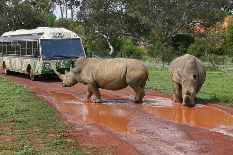 Melbourne Attractions Pass Including Melbourne Zoo, Hop-on Hop-off Bus And SEA LIFE Aquarium - Accommodation Brisbane 13