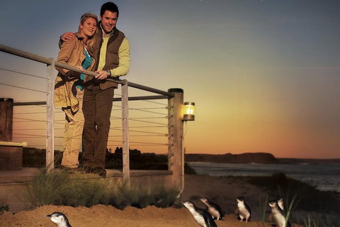 Melbourne Attractions Pass Including Melbourne Zoo, Hop-on Hop-off Bus And SEA LIFE Aquarium - Accommodation Brisbane 10