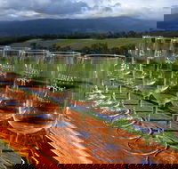 Yarra Valley Local Produce and Wine Tasting Tour - Accommodation Brisbane