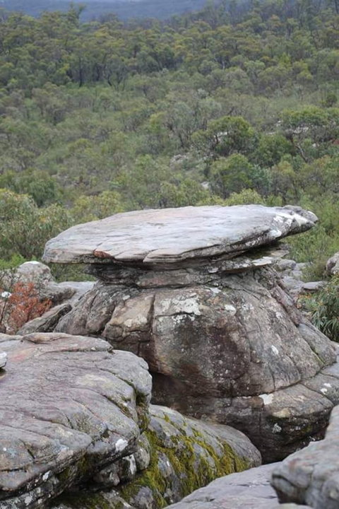 Grampians National Park Small-Group Eco Tour From Melbourne - Accommodation Brisbane 12