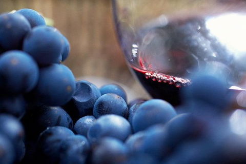 Ultimate Mornington Peninsula Food And Wine Small Group Tour - Accommodation Brisbane 1