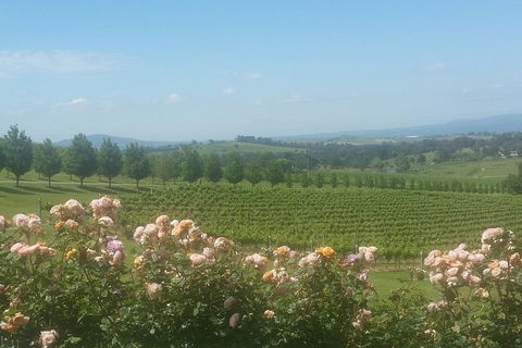 Ultimate Mornington Peninsula Food And Wine Small Group Tour - Accommodation Brisbane 0