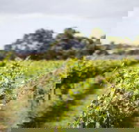 Phillip Island Wine Experience Tour