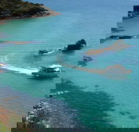 Cape Woolamai Sightseeing Cruise from San Remo - Accommodation Brisbane