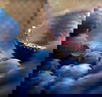 Small Group 6 guests Ultimate Mornington Peninsula Food and Wine - Accommodation Brisbane