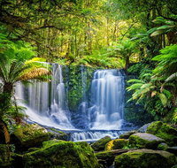 Day Tour in Mt. Field Mt. Wellington Bonorong Wildlife Sanctuary and Richmond - Accommodation Brisbane