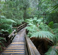 Small-group DayTour from Hobart Hastings Caves Huon Valley and Tahune AirWalk - Accommodation Brisbane