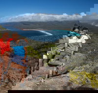 Full-Day Tour One-Way from Launceston to Hobart with Freycinet National Park - Accommodation Brisbane