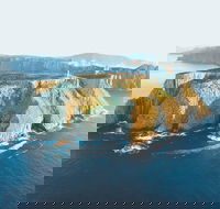 3-Hour Tasman Peninsula Wilderness Cruise from Port Arthur - Accommodation Brisbane