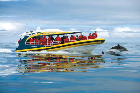 3-Hour Tasman Peninsula Wilderness Cruise From Port Arthur - Accommodation Brisbane 5