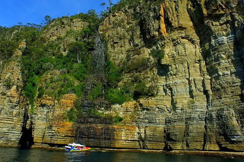 3-Hour Tasman Peninsula Wilderness Cruise From Port Arthur - Accommodation Brisbane 7