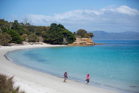Maria Island Active Day Trip From Hobart - Accommodation Brisbane 1