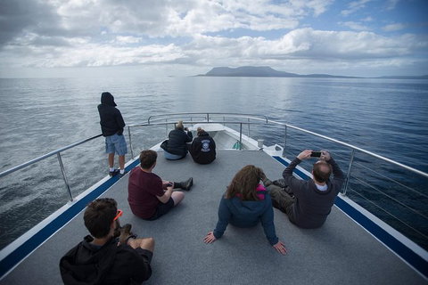 Maria Island Active Day Trip From Hobart - Accommodation Brisbane 13