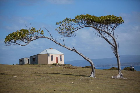 Maria Island Active Day Trip From Hobart - Accommodation Brisbane 3