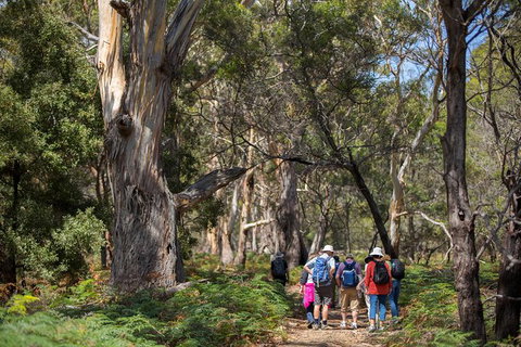 Maria Island Active Day Trip From Hobart - Accommodation Brisbane 12