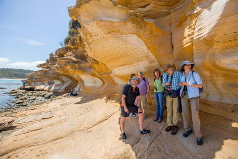 Maria Island Active Day Trip From Hobart - Accommodation Brisbane 7