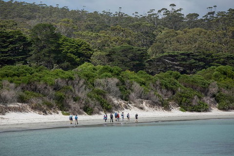 Maria Island Active Day Trip From Hobart - Accommodation Brisbane 11