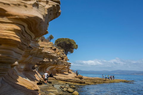 Maria Island Active Day Trip From Hobart - Accommodation Brisbane 5