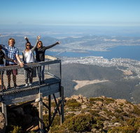 Mt Field National Park Active Day-Trip Including Bonorong and Mt Wellington - Accommodation Brisbane