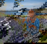 Port Arthur and Lavender Farm Active Day Tour - Accommodation Brisbane