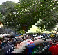 Hobart Half-Day Sightseeing Coach Tram Tour - Accommodation Brisbane