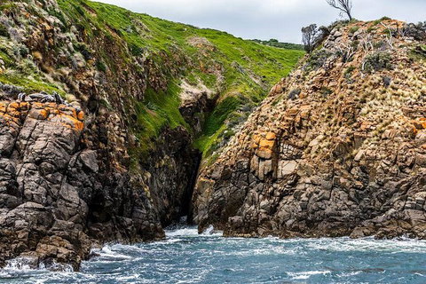 Hobart Sightseeing Cruise Including Iron Pot Lighthouse - Accommodation Brisbane 3