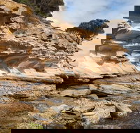 Maria Island premium private photo-oriented day tour from Hobart - Accommodation Brisbane