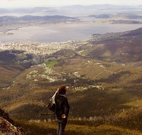 Mt Wellington Half Day Guided Summit Hike - Accommodation Brisbane