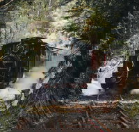 West Coast Wilderness Railway River and Rainforest from Strahan - Accommodation Brisbane