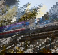 West Coast Wilderness Railway Queenstown Explorer from Strahan - Accommodation Brisbane