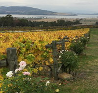 Mona and Wine Experience Tour - Accommodation Brisbane