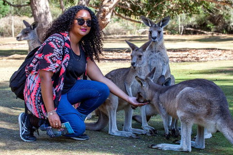 3-Day Tasmania Combo: Hobart To Launceston Active Tour - Accommodation Brisbane 19